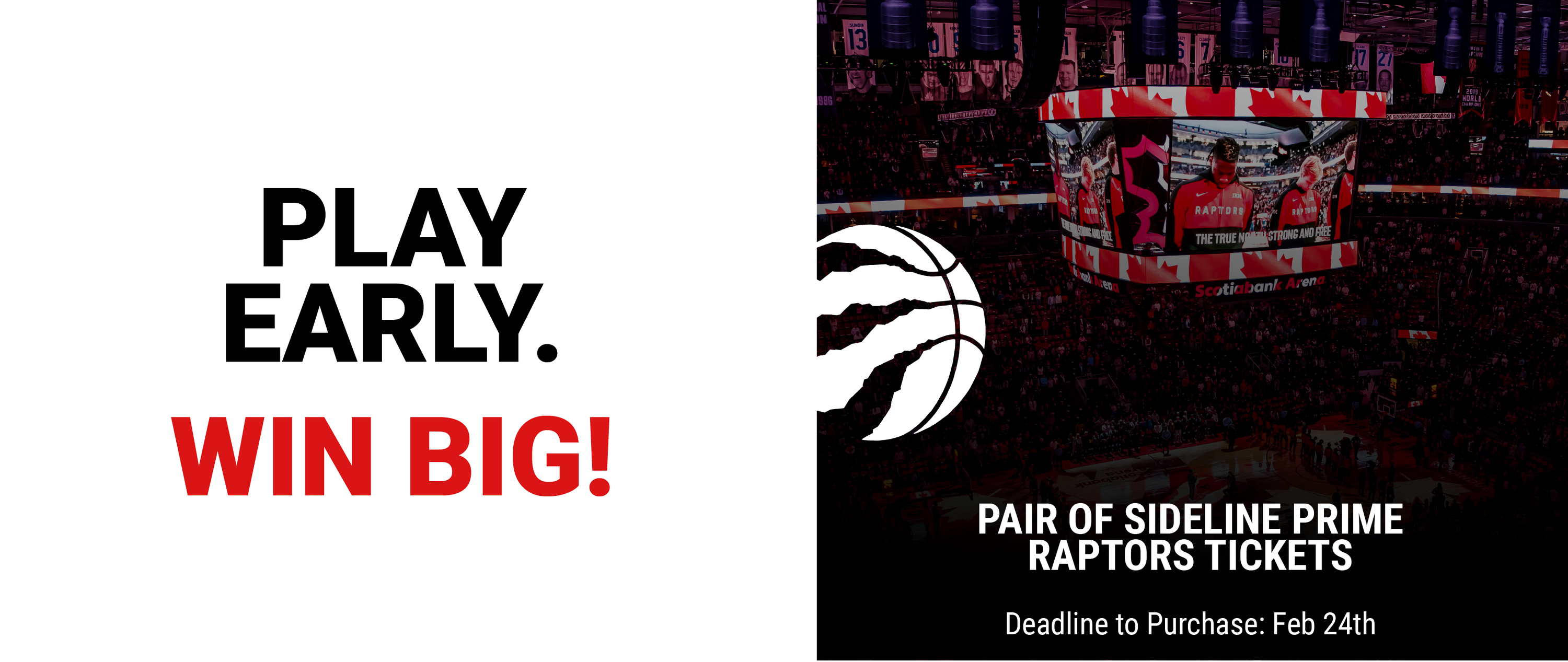 MLSE Foundation Toronto Raptors 50|50